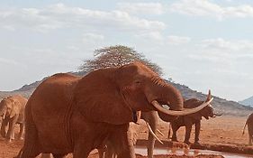 Tausa Tsavo Eco Lodge